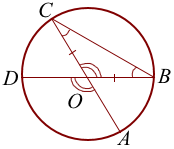 Otrezki AC i BD - diametry